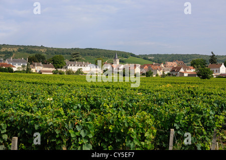 Das Dorf Vosne Romanée. Burgunder. cote d'Or. Bourgogne Franche Comte. Frankreich Stockfoto