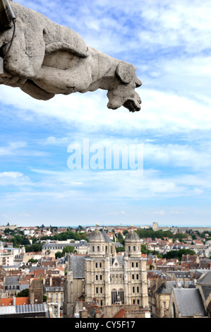 Wasserspeier von Philip Le Bon Tower, Dijon, Cote d ' or, Burgund, Frankreich Stockfoto