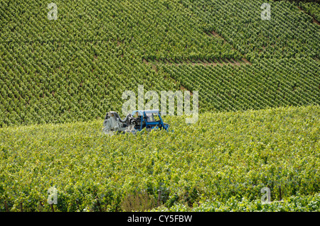 Traktor im Weinberg, Cote d'Or, Bourgogne Franche Comte, Frankreich, Europa Stockfoto