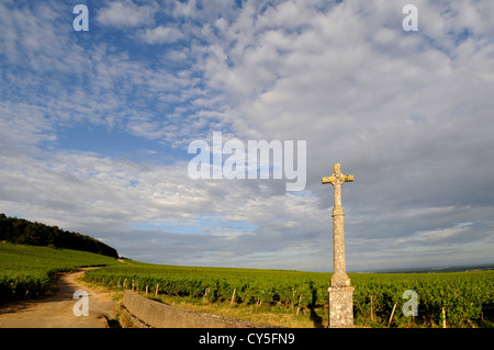 Überqueren Sie das Dorf Monthelie. Cote d'Or, Bougogne Franche Comte. Frankreich, Europa Stockfoto