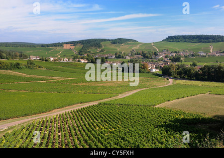 Dorf Mercurey umgeben von Weinbergen, Saône et Loire, Côte Chalonnaise, Bourgogne Franche Comte, Frankreich, Europa Stockfoto