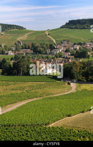 Dorf Mercurey umgeben von Weinbergen, Saône et Loire, Côte Chalonnaise, Bourgogne Franche Comte, Frankreich, Europa Stockfoto