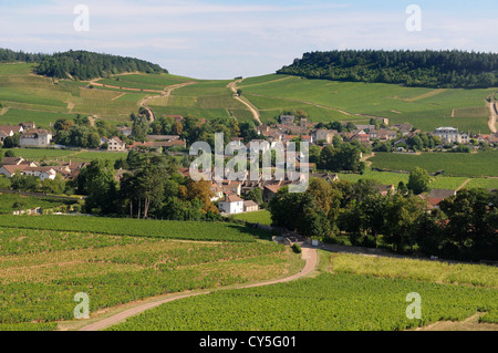 Dorf Mercurey umgeben von Weinbergen, Saône et Loire, Côte Chalonnaise, Bourgogne Franche Comte, Frankreich, Europa Stockfoto