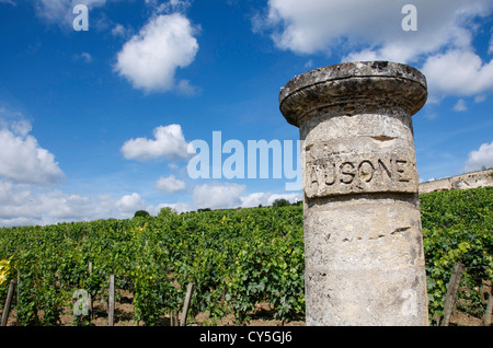 Château Ausone, Weinberg von Saint-Émilion, Gironde, Aquitanien, Frankreich, Europa Stockfoto