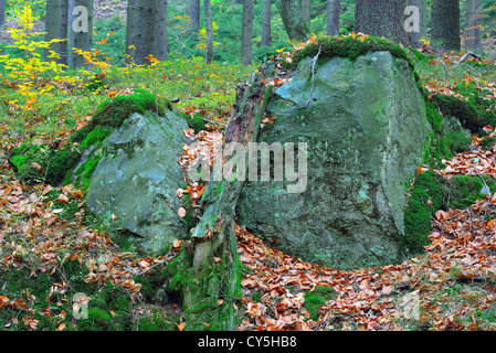 Moos bedeckte Felsbrocken im Wald in der Nähe von Schweidnitzer Klodzko niedriger Schlesien Polen Stockfoto