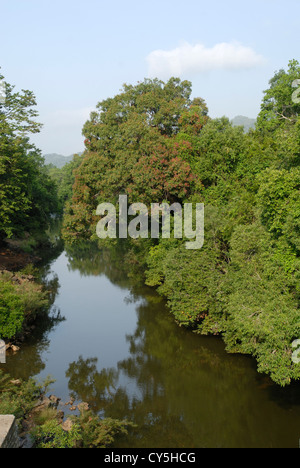 Fluss in Baralikkadu Eco-touristischen Ort im Athikkadavu Bereich der Western Ghats in der Nähe von Coimbatore, Tamil Nadu, Indien Stockfoto