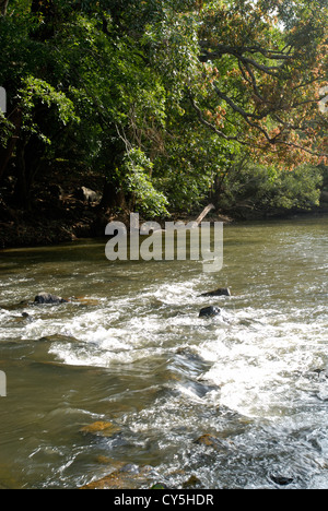 Fluss in Baralikkadu Eco-touristischen Ort im Athikkadavu Bereich der Western Ghats in der Nähe von Coimbatore, Tamil Nadu, Indien Stockfoto