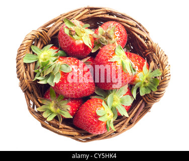 Frisch gepflückt Erdbeeren in einem Körbchen wodden Stockfoto