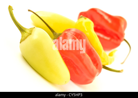 Bunte Paprika auf weißem Hintergrund, Nahaufnahme Stockfoto