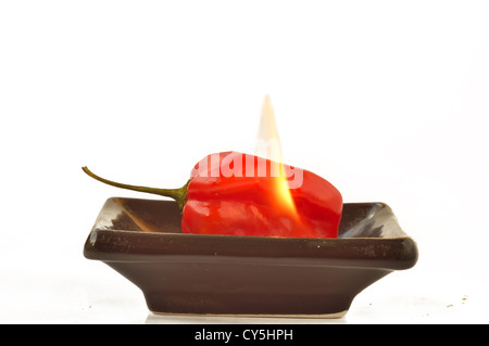 Feuer und Scotch Bonnet Pfeffer auf weißem Hintergrund Stockfoto