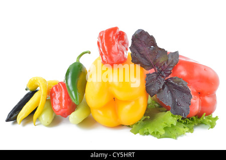 Verschiedene Arten von Paprika auf weißem Hintergrund Stockfoto