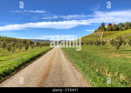 Schmale Straße durch Hügel, Weinberge und Felder unter blauem Himmel mit weißen Wolken im Piemont, Norditalien. Stockfoto