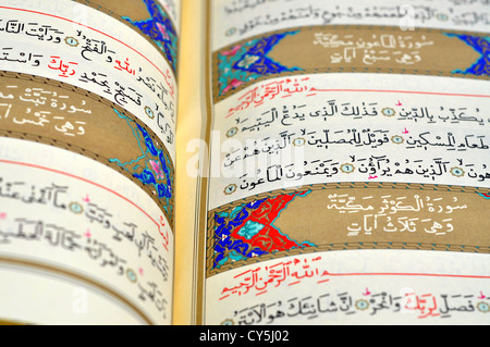 Seiten des Heiligen Buches des Koran Stockfoto