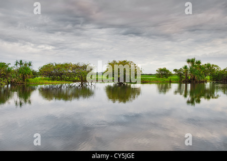 Gelbe Wasserspiegelungen an einem bewölkten Morgen. Stockfoto