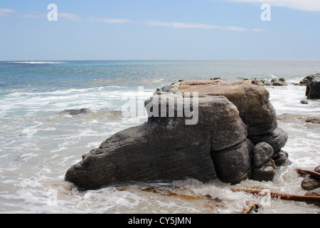 Klippe ins Meer am Strand Kommetjie, Kapstadt, Südafrika Stockfoto