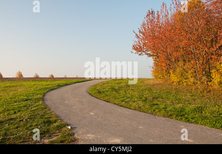 Herbstliche Landschaft mit Feldweg und schöne farbige Bäume Stockfoto