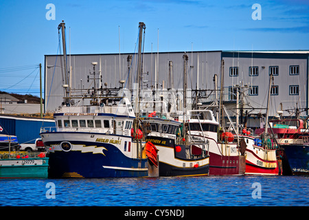 Garnelen Sie, Angelboote/Fischerboote zum Dock in der St. Anthony Harbour, St. Antonius, Viking Trail, Northern Peninsula, Neufundland gefesselt, Stockfoto
