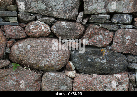 Abschnitt von einer Steinmauer aus Granitfelsen gebaut. Isle of Iona. Inneren Hebriden. Westküste Schottlands. Stockfoto