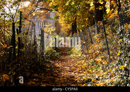 Wanderweg führt durch ein Wohngebiet in Berlin, Deutschland, ist im Herbst in leuchtend gelben Laub bedeckt. Stockfoto