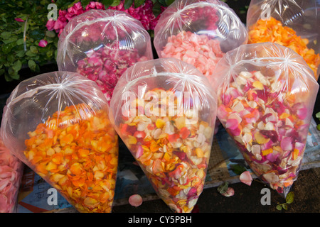 Lunch-Pakete Rosenblätter auf Jamaika Markt in Colonia Jamaika im Venustiano Carranza Stadtteil von Mexiko-Stadt Stockfoto