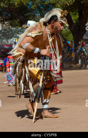 Chumash Indianer Mann, Grass Dancer bei der 2012 Inter Tribal Pow Wow, Phaseneiche Camp Santa Ynez Valley, Kalifornien Stockfoto