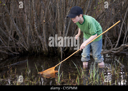 Kleiner junge Spaß fangen Frösche mit Frosch netto im Sommer Stockfoto