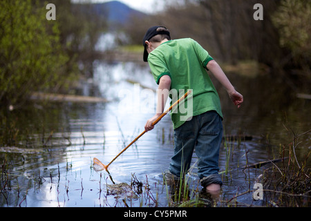 Kleiner junge Spaß fangen Frösche mit Frosch netto im Sommer Stockfoto