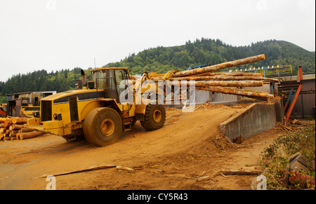 Forest Protokollierung Gabelstapler oder Mover Arbeiten laden Bäume in sah an einer Sägemühle Stockfoto