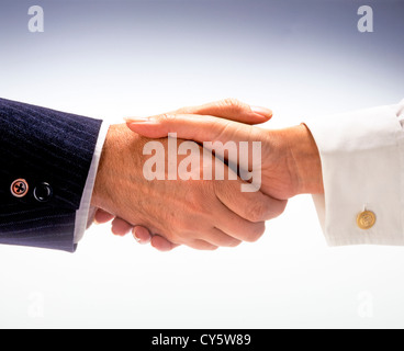 HANDSHAKE Stockfoto