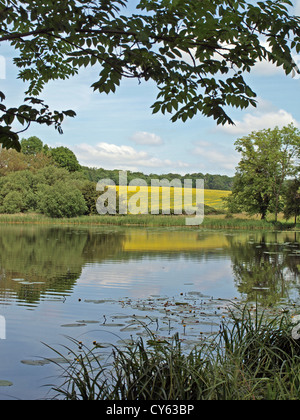 Die Seen auf dem Gelände der Wimpole Hall in Cambridge. England Stockfoto