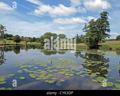 Die Seen auf dem Gelände der Wimpole Hall in Cambridge. England Stockfoto