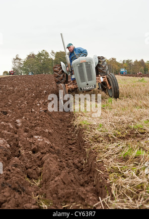 Pflügen Wettbewerb in Perthshire, Schottland Stockfoto