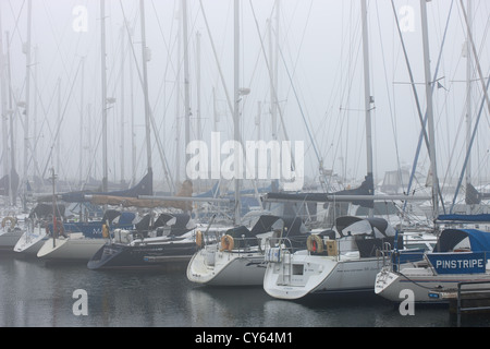 Shotley Marina, Suffolk, UK - der schwerste Herbstnebel erfasst seit 5 Jahren in diesem Bereich bringt die Segel-Saison zu Ende Stockfoto