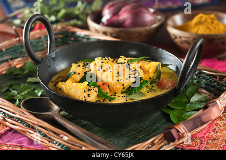 Fish Molee Kerala Fisch curry Indien Essen Stockfoto