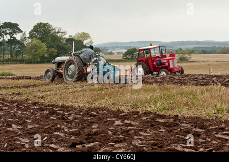Oldtimer-Traktoren - graue Fergusson und rote International Stockfoto