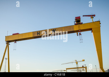 Samson & Goliath, das weltberühmte Harland und Wolff Cranes an den Belfast Docks. Stockfoto