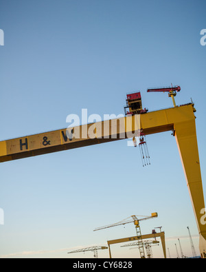 Samson & Goliath, das weltberühmte Harland und Wolff Cranes an den Belfast Docks. Stockfoto