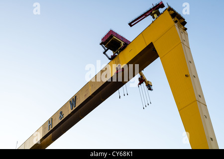 Samson & Goliath, das weltberühmte Harland und Wolff Cranes an den Belfast Docks. Stockfoto