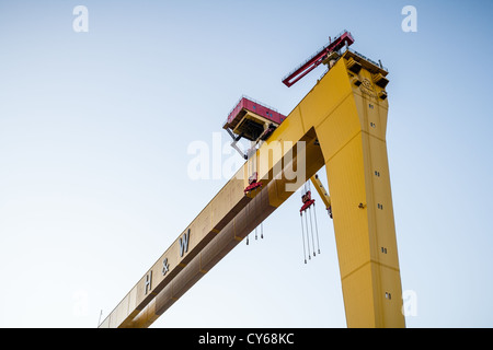 Samson & Goliath, das weltberühmte Harland und Wolff Cranes an den Belfast Docks. Stockfoto