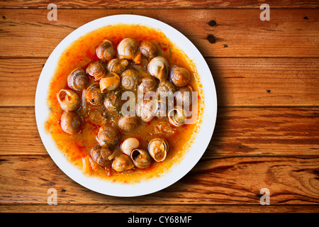 Schale der Schnecken am spanischen traditionellen mediterranen Stil zubereitet Stockfoto
