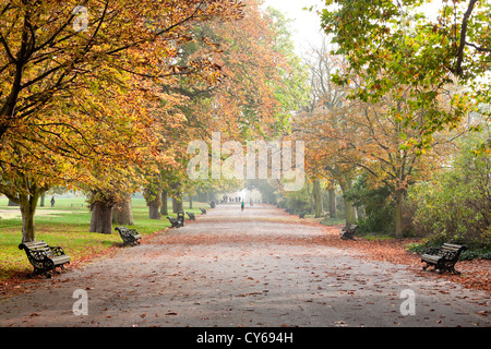 Regents Park im Herbst, London, England, UK Stockfoto