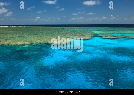 Bunte Muster der Meeresboden, Clam Gardens und Coral Kolonien Unterwasserwelt am Great Barrier Reef Marine Park Clam Gardens Stockfoto