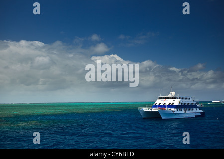 Katamaran Kreuzfahrt im Hafen von Cairns Rubrik Sightseeing zu den Riffen des Great Barrier Reef Marine Park Australien Stockfoto