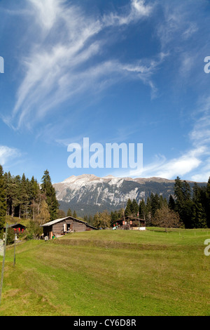 Schweizerhaus Gehöft auf einer Wiese in den Bergen, Conn, in der Nähe von Flims, Graubünden, Schweiz-Europa Stockfoto