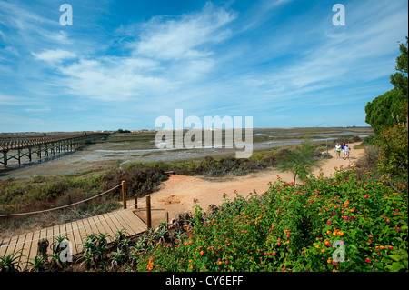 Naturpark Ria Formosa, Praia da Quinta do Lago, Algarve, Portugal Stockfoto