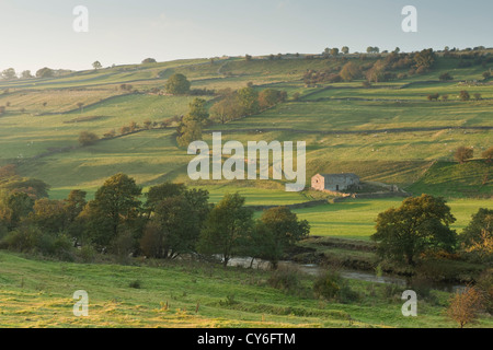 Swaledale Landschaft bei Sonnenuntergang in North Yorkshire Dales National Park, North Yorkshire, England Stockfoto