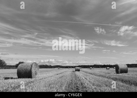 Rundballen Stroh auf frisch geerntete Gerstenfeld. Stockfoto