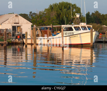 Tilghman Island, Maryland Morgensonne auf Angelboote/Fischerboote angedockt entlang Knapps Narrows, Chesapeake Bay Stockfoto