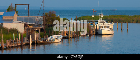 Tilghman Island, Maryland: Morgensonne auf Angelboote/Fischerboote angedockt entlang Knapps Narrows, Chesapeake Bay im Hintergrund Stockfoto