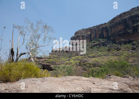 Nourlangie Aboriginal Rock Kunst Ort im Kakadu-Nationalpark, Northern Territory, Australien. Stockfoto